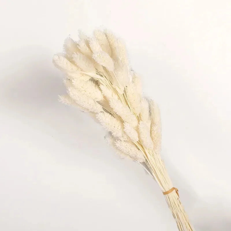 Boho Gem Phalaris & Bunny Tail Grass Bouquet – Perfect for Weddings & Decor!