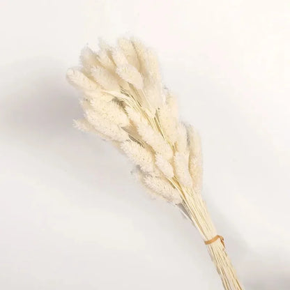 Boho Gem Phalaris & Bunny Tail Grass Bouquet – Perfect for Weddings & Decor!
