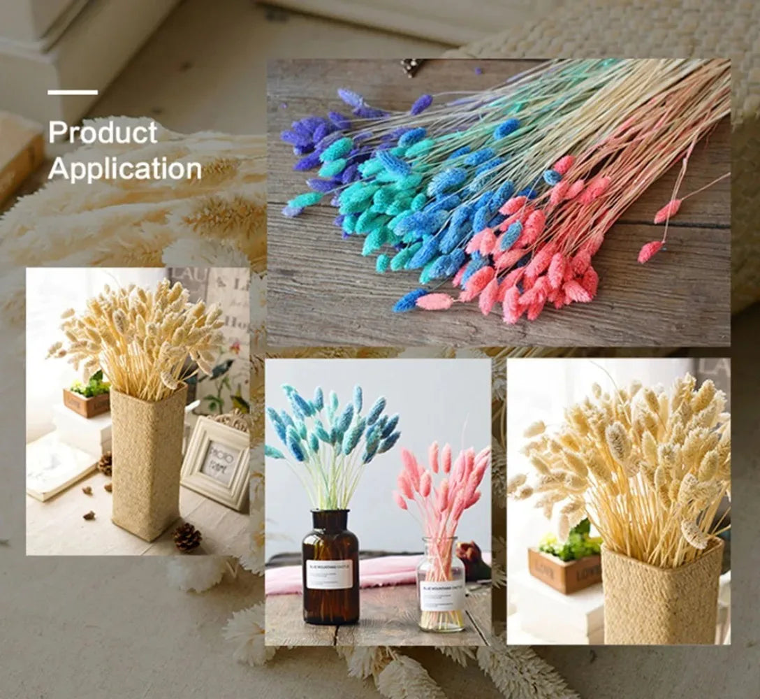 Boho Gem Phalaris & Bunny Tail Grass Bouquet – Perfect for Weddings & Decor!