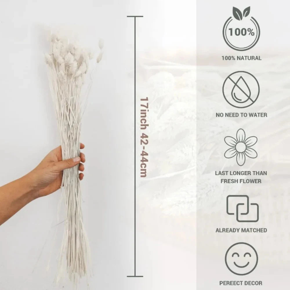 Boho Gem Phalaris & Bunny Tail Grass Bouquet – Perfect for Weddings & Decor!