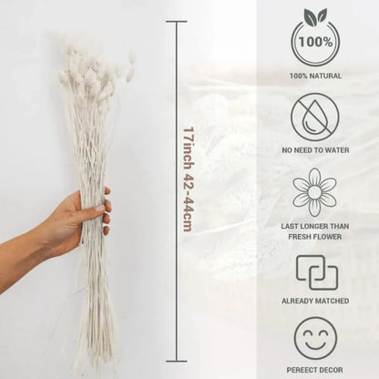 Boho Gem Phalaris & Bunny Tail Grass Bouquet – Perfect for Weddings & Decor!