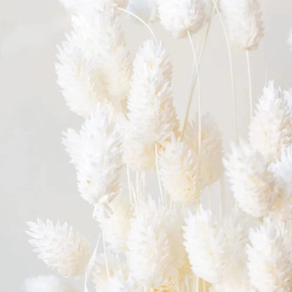 Boho Gem Phalaris & Bunny Tail Grass Bouquet – Perfect for Weddings & Decor!
