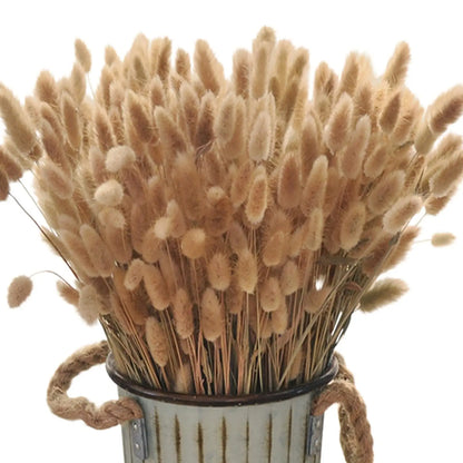 Boho Gem Phalaris & Bunny Tail Grass Bouquet – Perfect for Weddings & Decor!