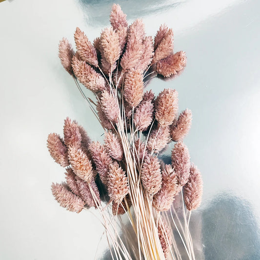Boho Gem Phalaris & Bunny Tail Grass Bouquet – Perfect for Weddings & Decor!