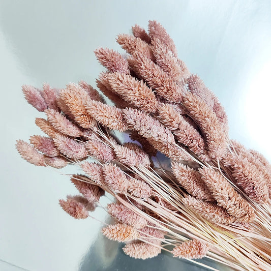 Boho Gem Phalaris & Bunny Tail Grass Bouquet – Perfect for Weddings & Decor!