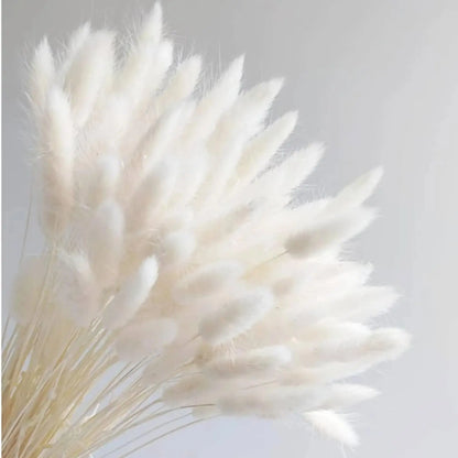 Boho Gem Phalaris & Bunny Tail Grass Bouquet – Perfect for Weddings & Decor!